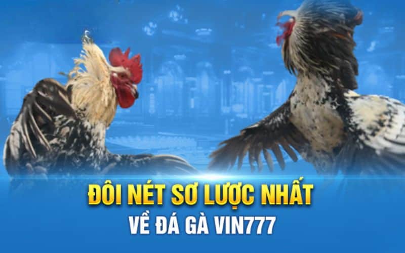 dong game da ga vin777 chua bao gio khien thanh vien that vong