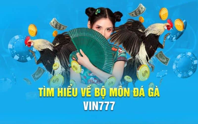 giai tri chat luong cao o sanh da ga